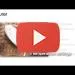Embedded thumbnail for Beurer HK 48 Heated Cushion