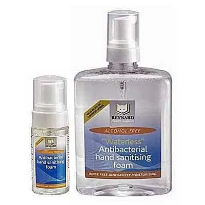Image of Reynard Hand Sanitiser 60 and 500 ml bottles
