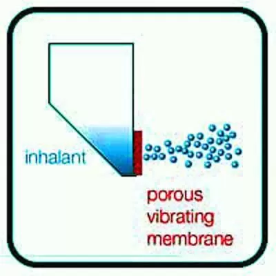 Image of mesh technology depicted