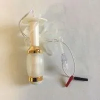 Image of Vaginal Balloon Probe with Electrodes